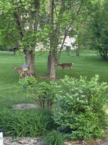 2016 Waldner Ct, Crestwood, KY 40014