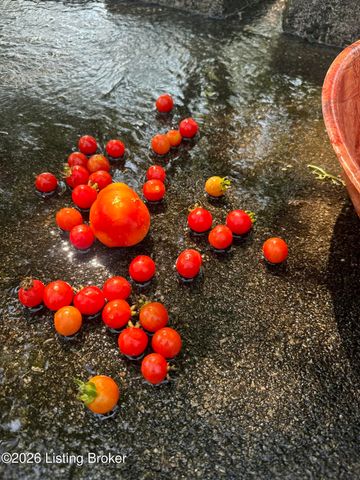 2016 Waldner Ct, Crestwood, KY 40014