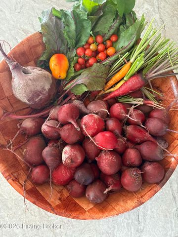 2016 Waldner Ct, Crestwood, KY 40014