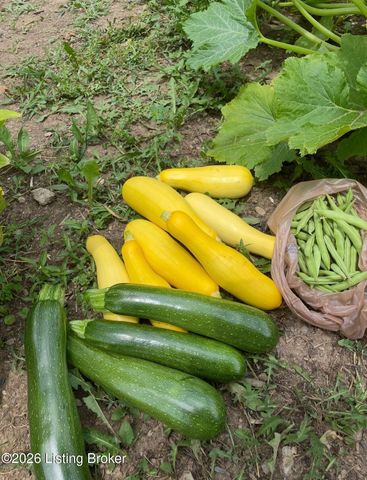 2016 Waldner Ct, Crestwood, KY 40014