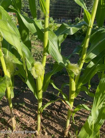 2016 Waldner Ct, Crestwood, KY 40014