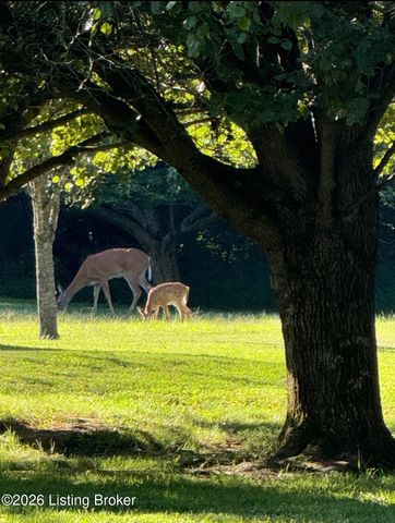 2016 Waldner Ct, Crestwood, KY 40014