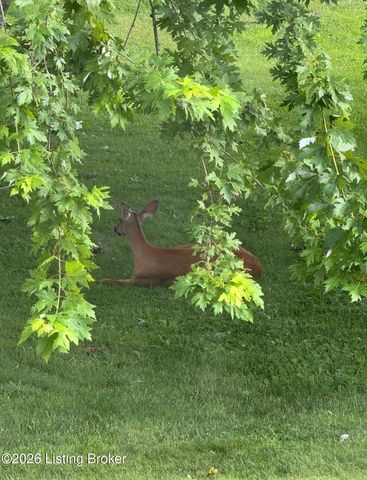 2016 Waldner Ct, Crestwood, KY 40014