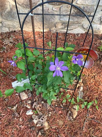 45 Bluff Road, Hardy, AR 72542