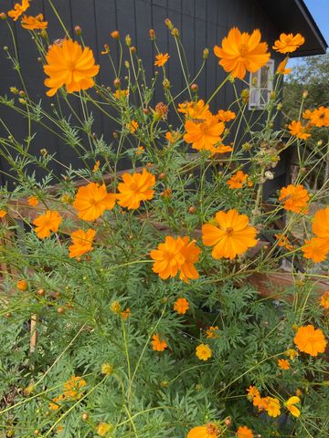 45 Bluff Road, Hardy, AR 72542