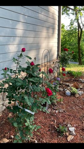 45 Bluff Road, Hardy, AR 72542