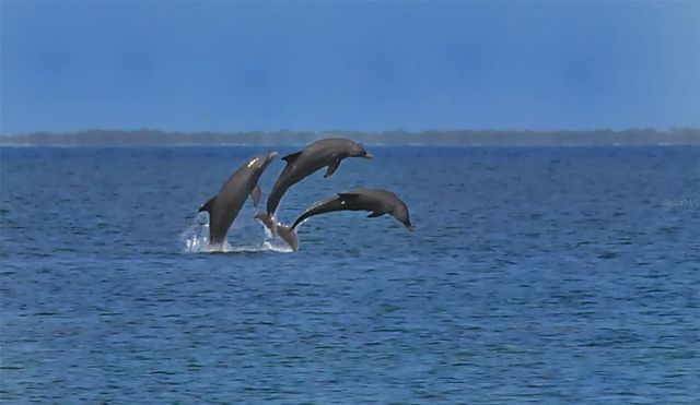 8764 MIDNIGHT PASS ROAD A306, Sarasota, FL 34242