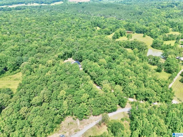 649 COUNTY ROAD 878, Clanton, AL 35045