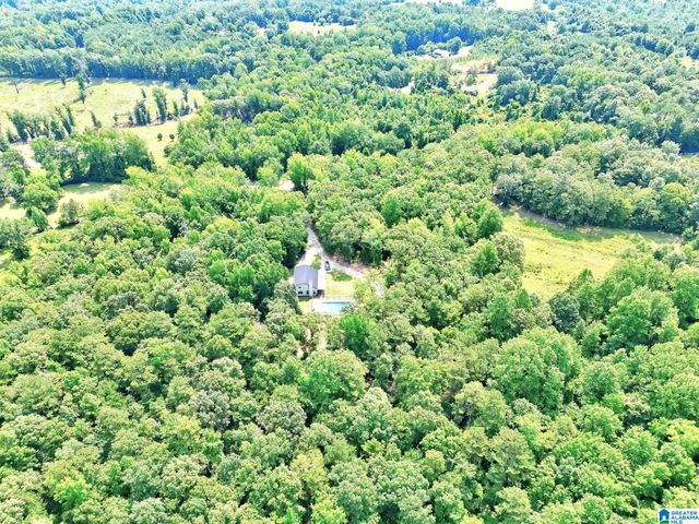 649 COUNTY ROAD 878, Clanton, AL 35045