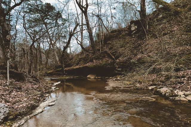 6680 Walker Creek Rd, Alexandria, TN 37012