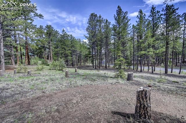 1396 Roberts Ranch Road, Woodland Park, CO 80863
