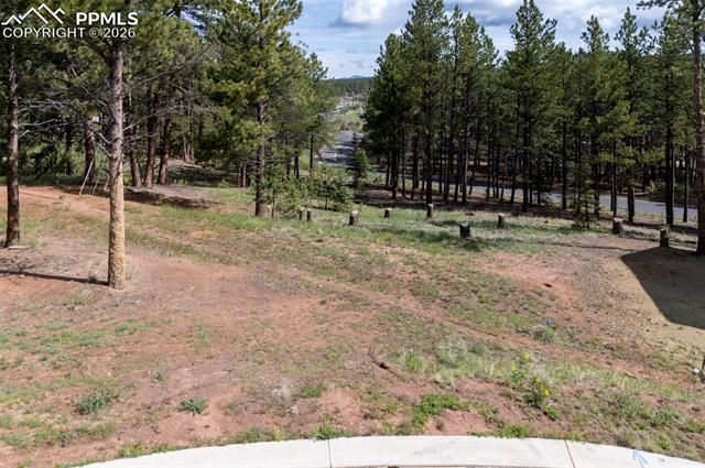 1396 Roberts Ranch Road, Woodland Park, CO 80863