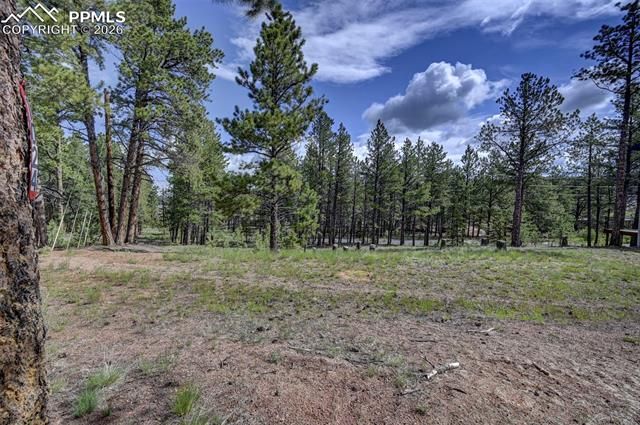 1396 Roberts Ranch Road, Woodland Park, CO 80863