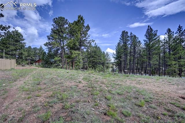 1396 Roberts Ranch Road, Woodland Park, CO 80863