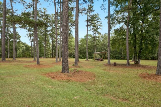 334 Luther Bailey Road, Senoia, GA 30276