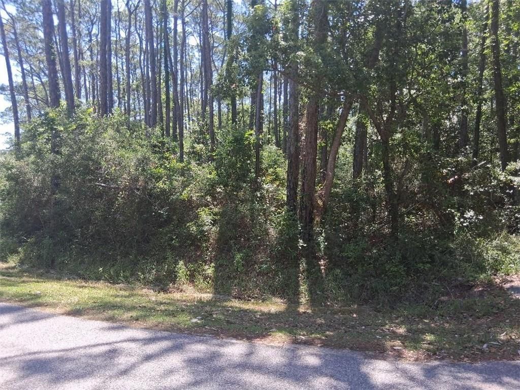 1205 Alabama Avenue, Dauphin Island, AL 36528 — exterior