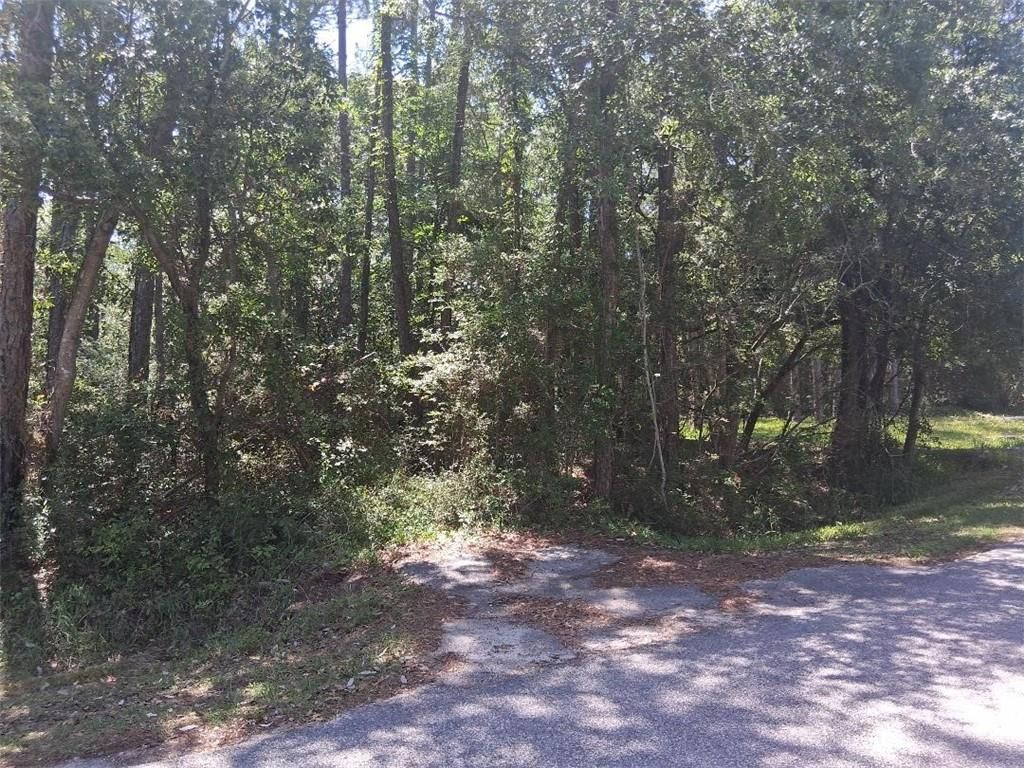 1205 Alabama Avenue, Dauphin Island, AL 36528 — photo 2