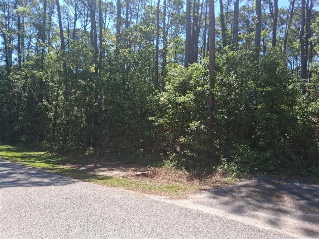 1205 Alabama Avenue, Dauphin Island, AL 36528 — photo 3