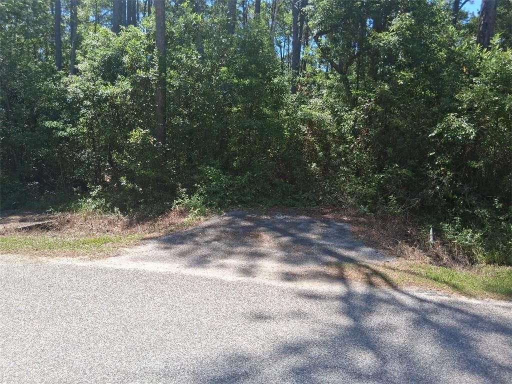 1205 Alabama Avenue, Dauphin Island, AL 36528 — photo 4