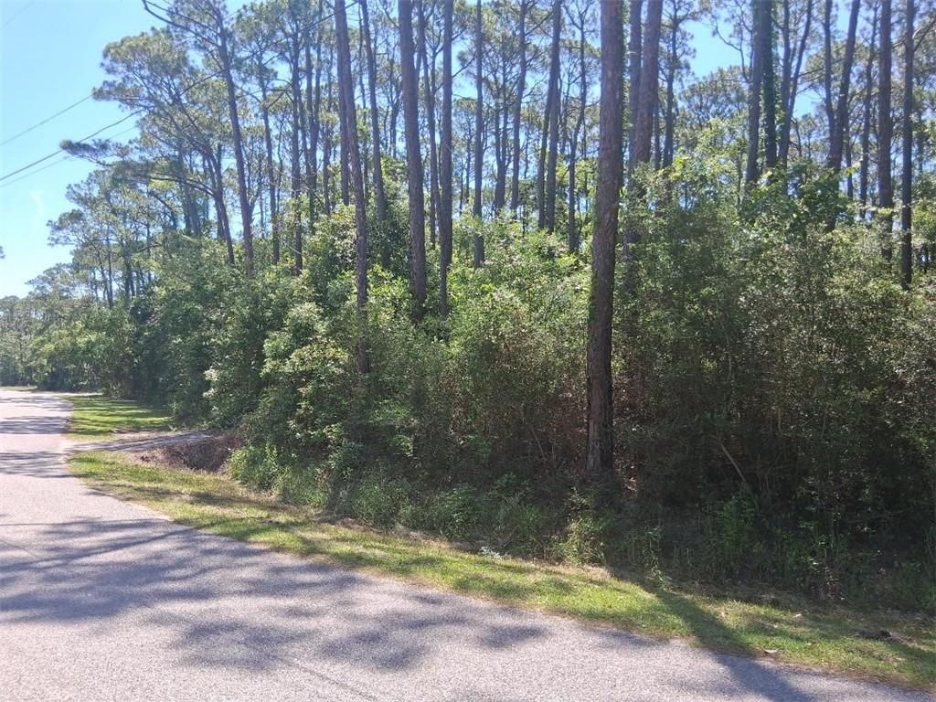 1205 Alabama Avenue, Dauphin Island, AL 36528 — photo 5