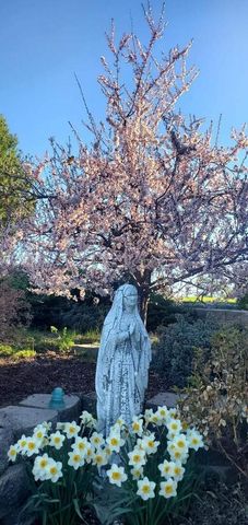 37409 Deerford Lane, Chiloquin, OR 97624