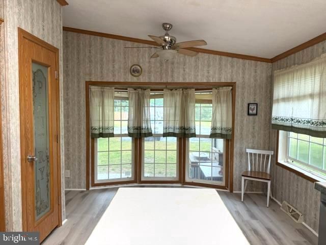 49 NEVADA AVE, Harrington, DE 19952