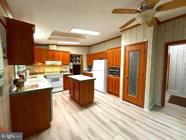 49 NEVADA AVE, Harrington, DE 19952