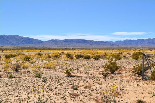 4040 Peter Rabbit, 29 Palms, CA 92277