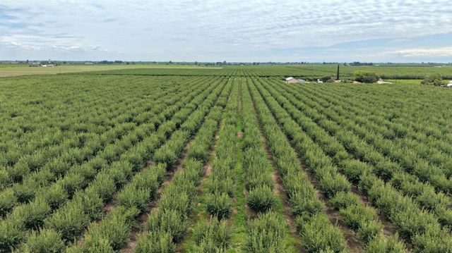 6539 Road 29, Madera, CA 93637