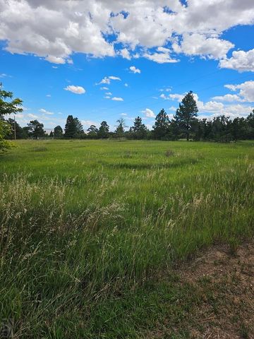 1413 County Rd 671, Rye, CO 81069