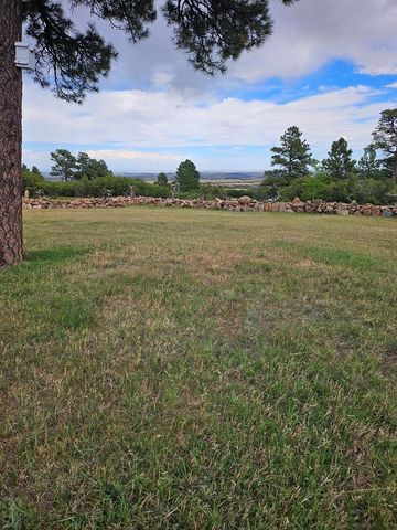 1413 County Rd 671, Rye, CO 81069