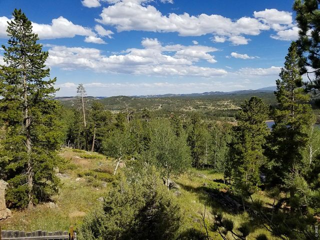 1346 Osage Trl, Red Feather Lakes, CO 80545
