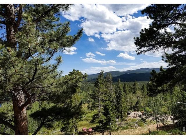 1346 Osage Trl, Red Feather Lakes, CO 80545