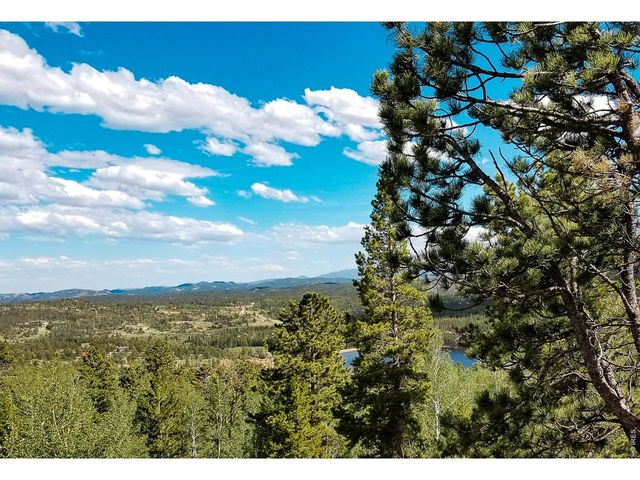 1346 Osage Trl, Red Feather Lakes, CO 80545