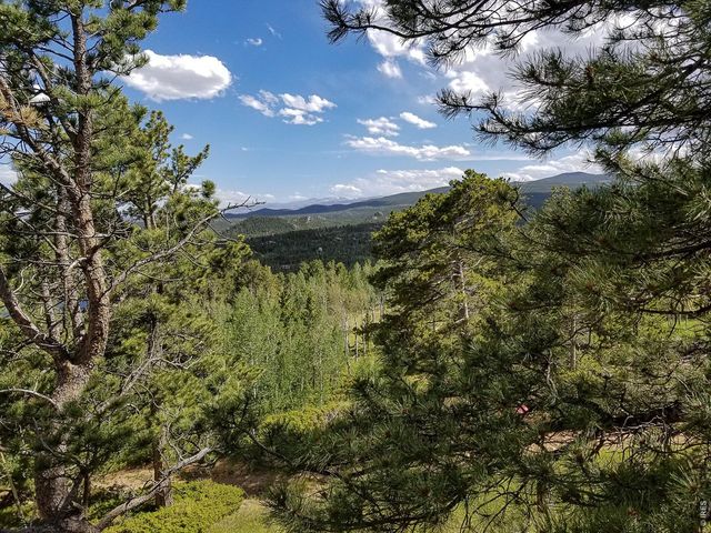 1346 Osage Trl, Red Feather Lakes, CO 80545