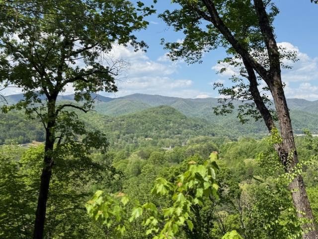 Lot 43 Silo View, Marble, NC 28905