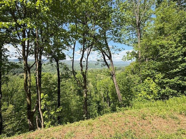Lot 43 Silo View, Marble, NC 28905