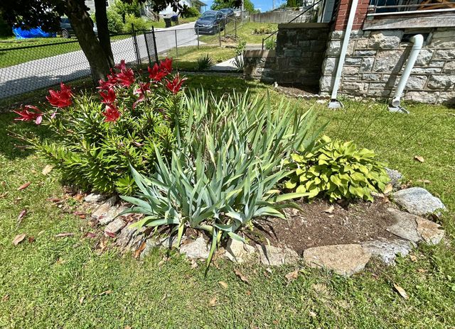 319 Henry Street, Frankfort, KY 40601