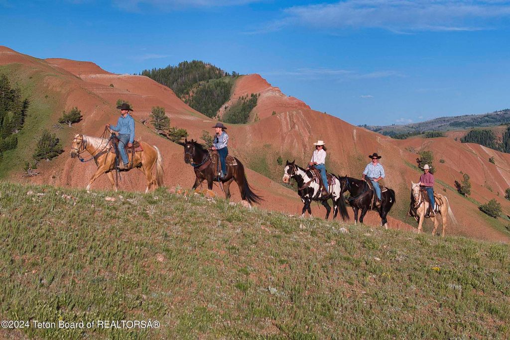 15400 GROS VENTRE Road, Kelly, WY 83011 photo 23