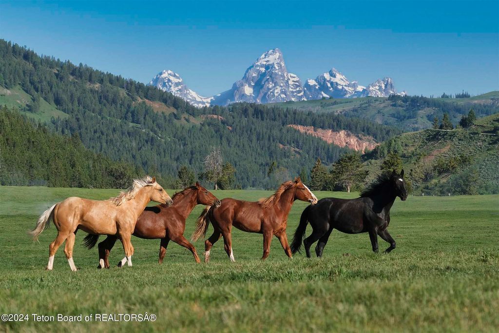 15400 GROS VENTRE Road, Kelly, WY 83011 photo 3