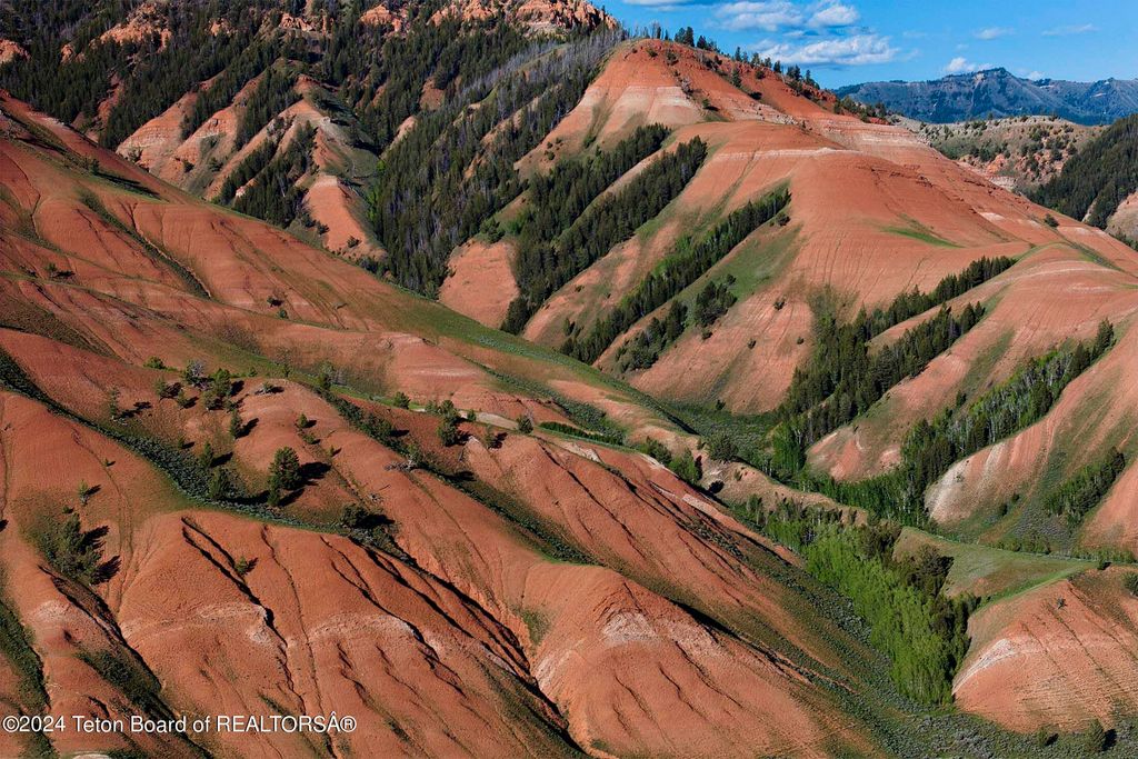 15400 GROS VENTRE Road, Kelly, WY 83011 photo 52