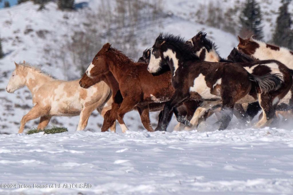 15400 GROS VENTRE Road, Kelly, WY 83011 photo 65
