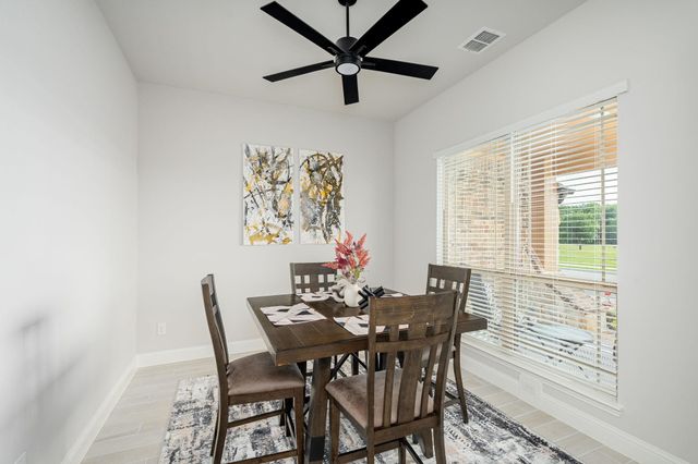 1117 Birdsong Trail, Anna, TX 75409