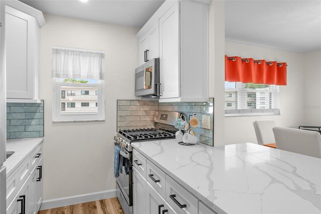 5967 TERRACE PARK DRIVE N 201, St Petersburg, FL 33709