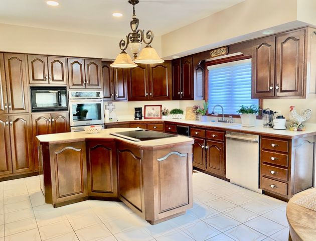 14561 Crystal Tree Drive, Orland Park, IL 60462