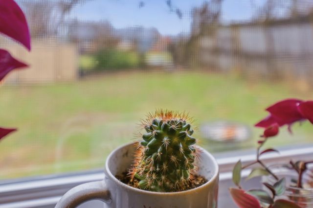 1708 Knoxville Court, Lexington, KY 40505