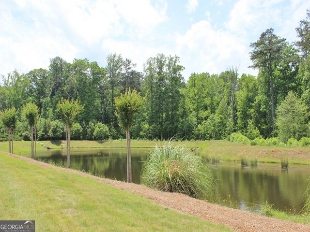355 Grand Teton Circle, Fayetteville, GA 30215