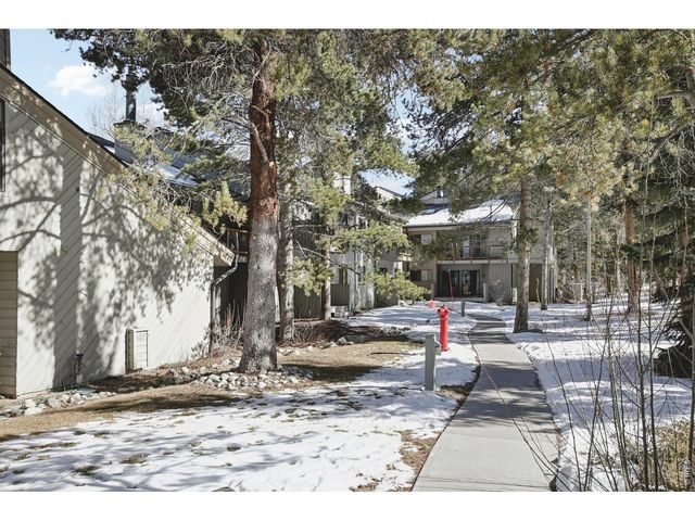 1937 Soda Ridge Rd 1146, Dillon, CO 80435