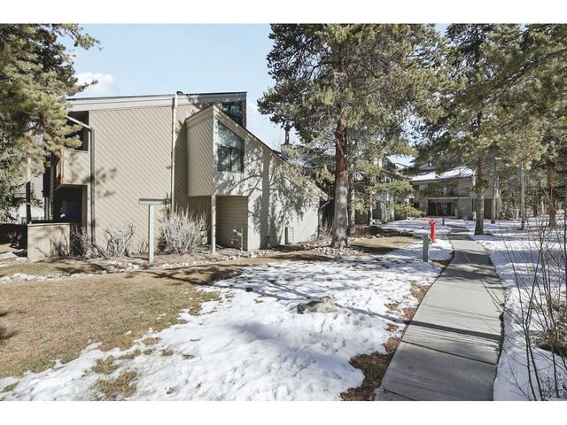 1937 Soda Ridge Rd 1146, Dillon, CO 80435