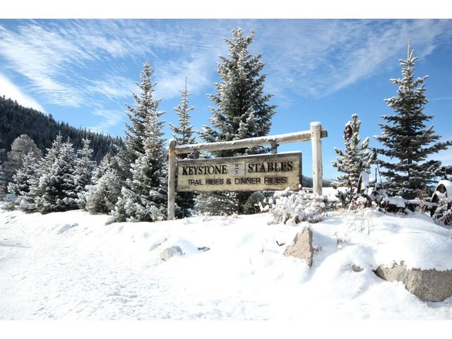 1937 Soda Ridge Rd 1146, Dillon, CO 80435